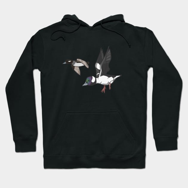 Bufflehead Pair Hoodie by Ginboy